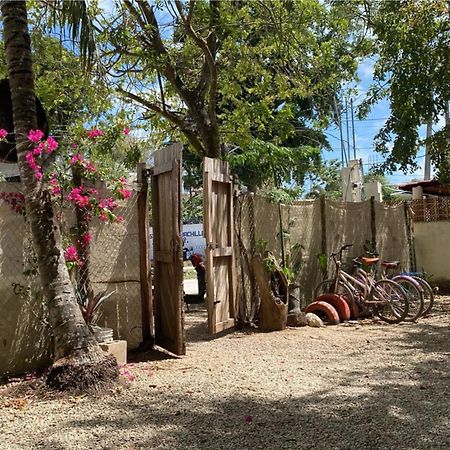Hotel Selva Bacalar - Free Bike Rental Zewnętrze zdjęcie