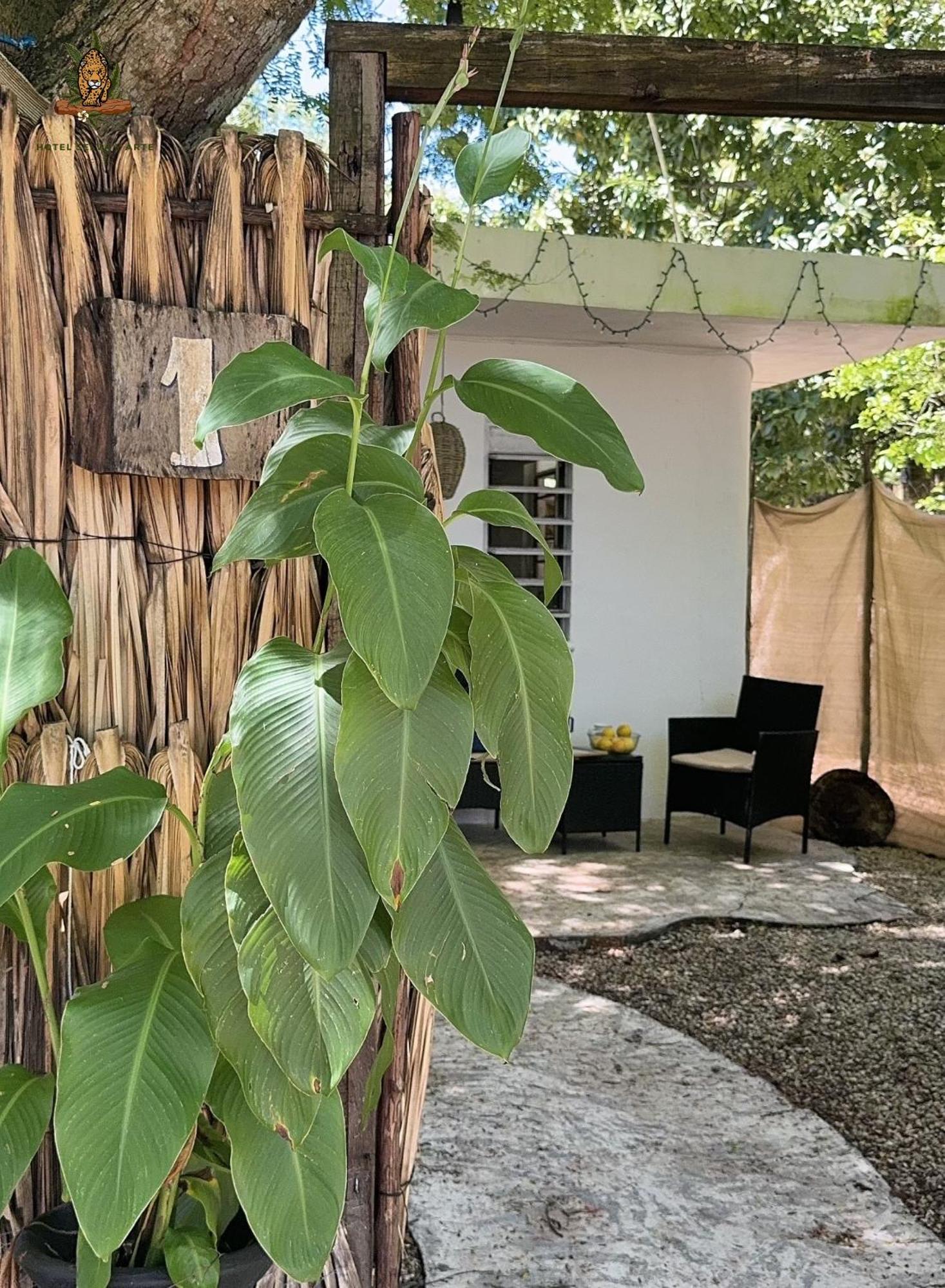 Hotel Selva Bacalar - Free Bike Rental Zewnętrze zdjęcie