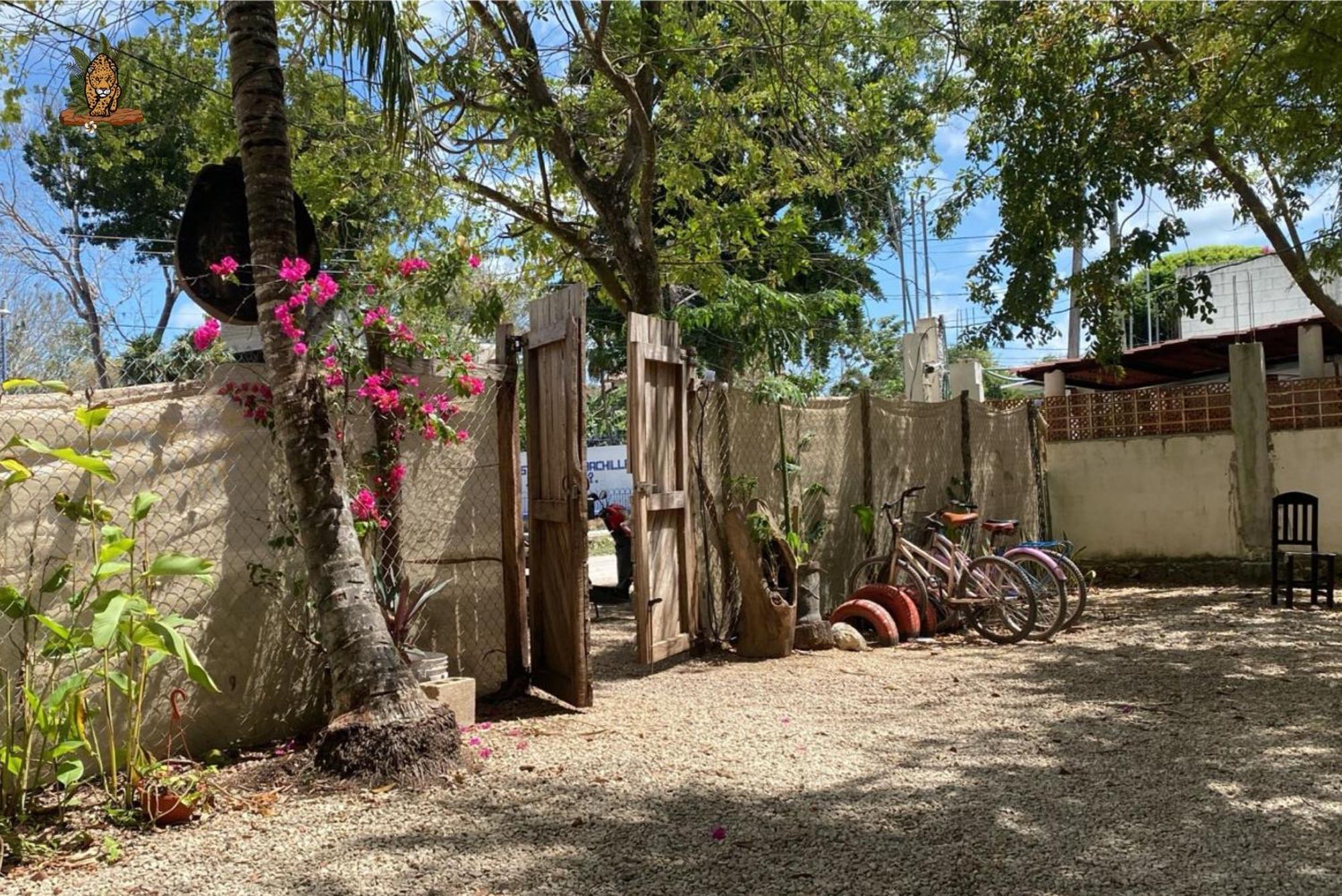 Hotel Selva Bacalar - Free Bike Rental Zewnętrze zdjęcie